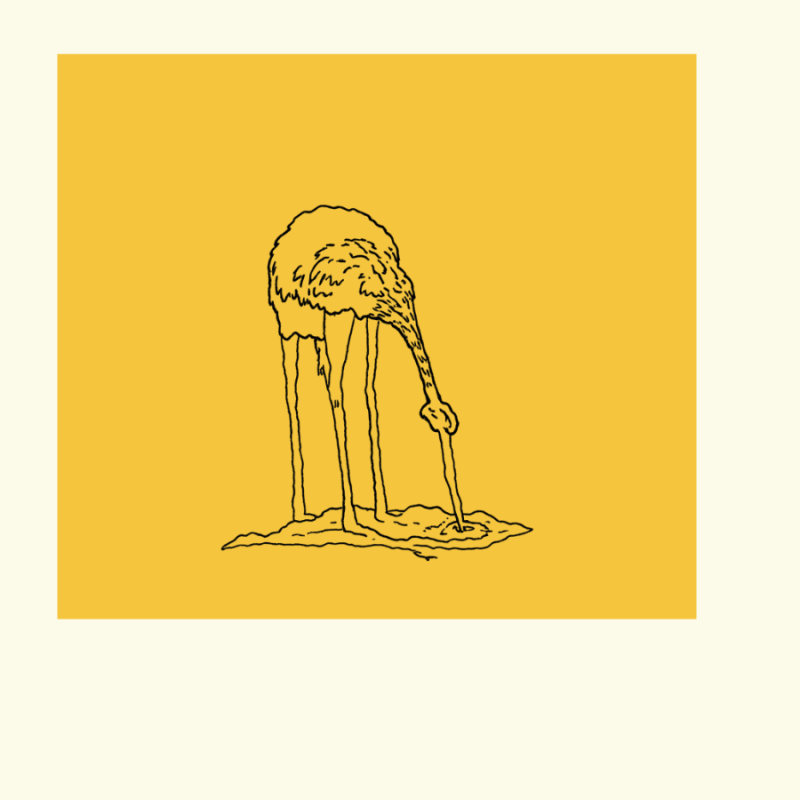 Heads in the Sand - impact Investing Clear Skies ostrich effect